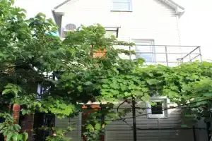 Гостевой дом «Тимофеевский», Ейск