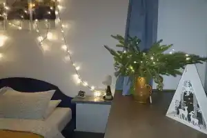 Уникальная квартира с отедельным входом