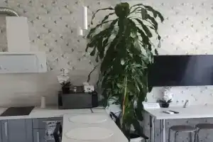 Уютная квартира возле автовокзала, Хабаровск