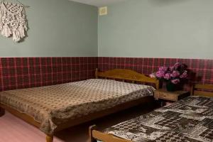 Трёхместный номер эконом с видом на горы, Солоники