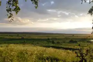 Гостевой дом «Кукушечка» в Жерди