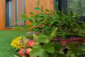 Частный дом «Лыжная деревня», Апатиты