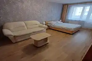 1-комнатная квартира, Петрозаводск