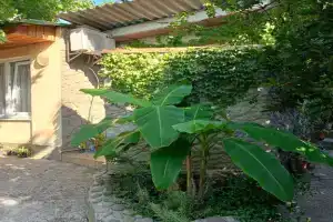 Гостевой дом на Коцюбинского 14, Симеиз