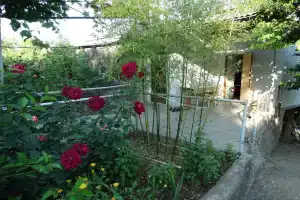 Гостевой дом у дяди Вани, Севастополь