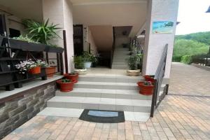 Гостевой дом «Вероника», Ольгинка