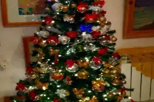 Дом музей Е.В.Нагаевской, Бахчисарай