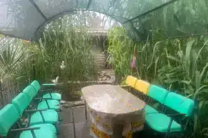 Гостевой дом «София», Черноморское