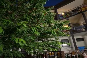 Су-Псех - Гостиницы