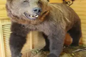 Гостевой дом «Охотничий рай»