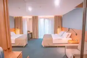 Двухместный номер с 1 кроватью Deluxe Double Room, Тбилиси