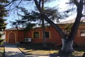 Частный дом в соснах внутри города Тюмень