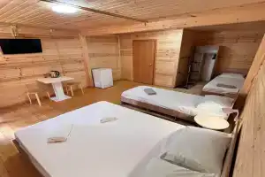 Четырёхместный номер полулюкс, Новомихайловский