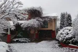 Элитный коттедж в сосновом бору под Минском