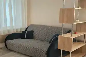 1-комнатная квартира, Светлогорск