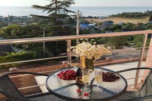 Гостевой дом «Дельфин», Солнечногорское