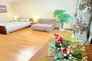 Апартаменты с красивым видом, Красноярск