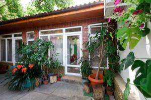 Гостевой домик «Абрикос», Феодосия