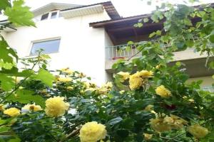 Гостевой дом «Летний вечер», Судак