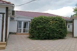 Гостевой дом «Кошкин дом», Береговое