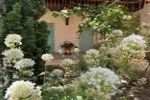 Гостевой дом «Elmarine», Береговое