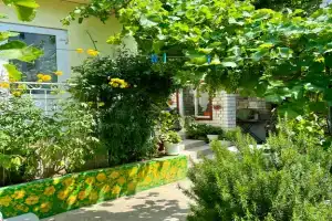 Гостевой дом на Бирюзова 61, Судак