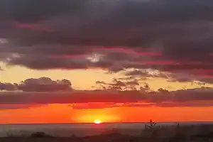 Отдельный дом со всем необходимым, Благовещенская