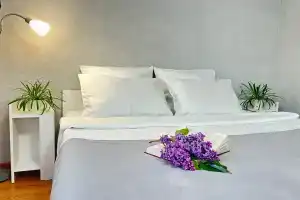 Квартира в центральном районе Амалиенау