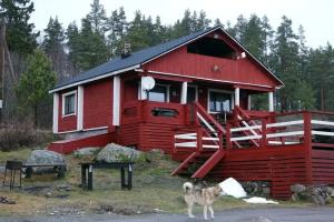 Гостевые дома