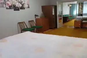 Уютная просторная квартира в центре города