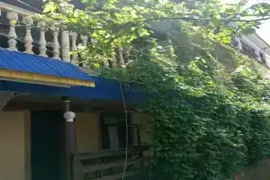 Гостевой дом «Велес - Ореховая роща», Джубга