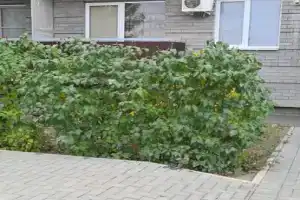 Уютная квартира, Волжский