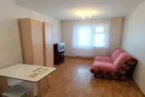 Уютная квартира с красивым видом, Красноярск