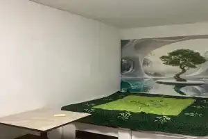 Дом стандарт, Дедеркой