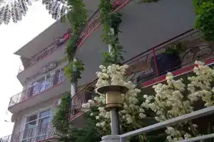 Гостиница «У верблюжьих горбов», Коктебель