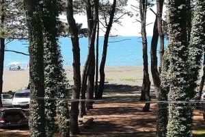 Мини-отель «Kaprovani Kako», Шекветили