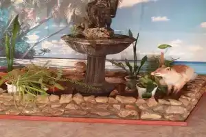 Гостевой дом «Охотника», Ершов