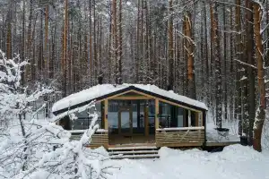 Уютный домик в сосновом бору