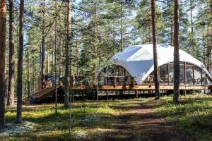 Глэмпинг «Forest Lake», Молодёжное