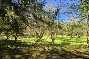 Хостел для рабочих