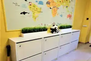 Панда Хостел, Сочи