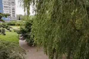 Квартира в центре возле Музея Мирового океана