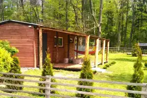 Лесной домик в Беловежской пуще, на закрытой территории нац. парка