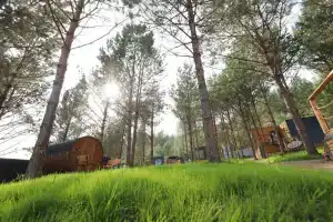 Морошка, Манский
