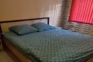 Тихий центр, Мурманск