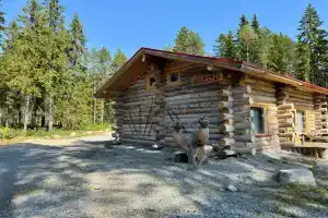 Дом Горыныч, Медвежьегорск