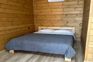 Двухместный номер с 1 кроватью стандарт, Гудаута
