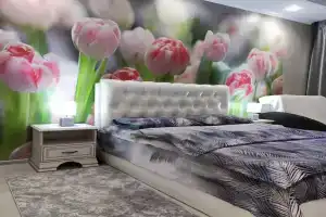 Уютный апартамент, Пинск