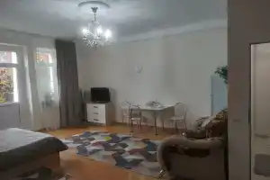 Квартира студия в центре города