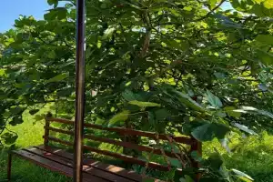 Двухместный номер с 2 отдельными кроватями эконом, Леселидзе